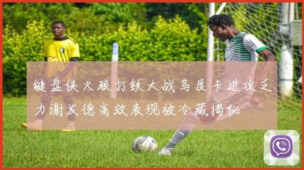 键盘侠火狼打铁大战乌度卡进攻乏力谢泼德高效表现被冷藏揭秘